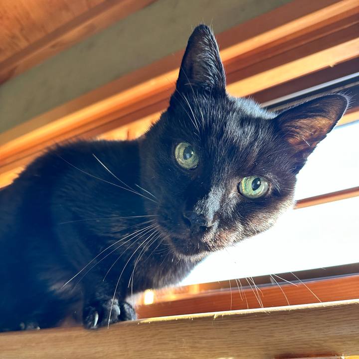 6ec0bf20 0b85 49e8 84da 22930a16044d 1700445691507