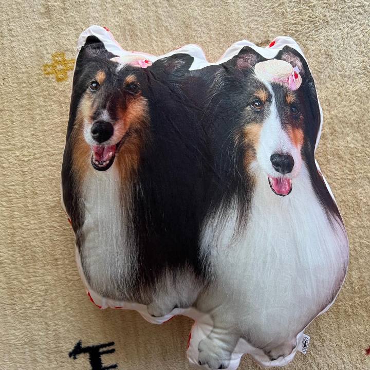 6ec0d49c 4cf2 4839 9fda a647fe0ece14 1661796811960