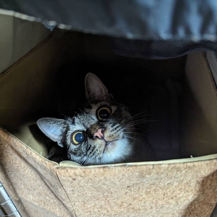 6ec0d880 e90b 44bb ad10 e613dee2a767 1715074905085