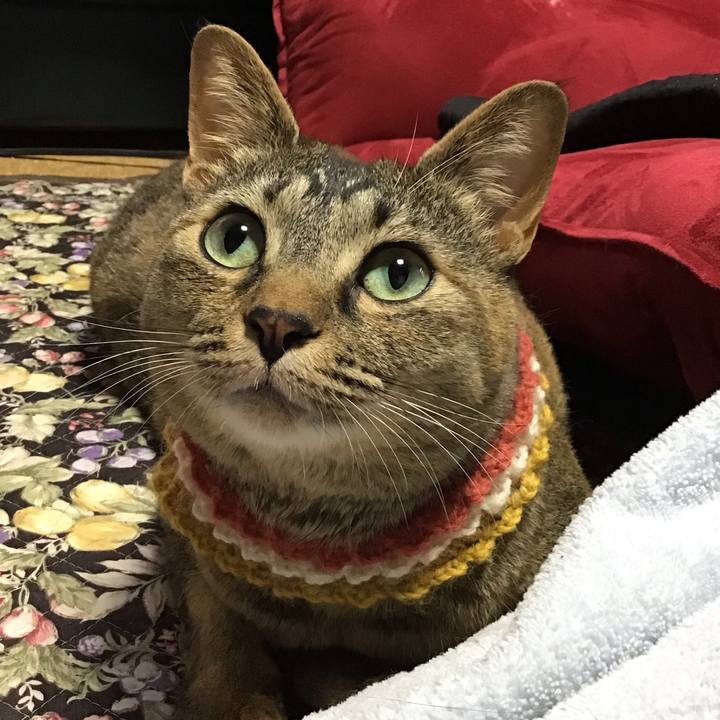 6ec0e455 7858 41d1 88fb 7801211edd54 1623023181407