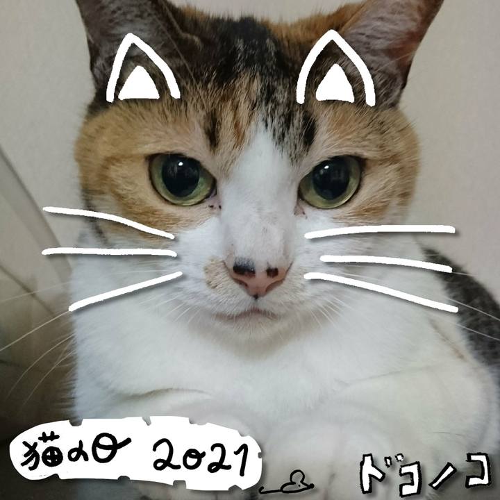 6ec12ba8 3cec 42da 92da 8aee2974b1c5 1614002685348