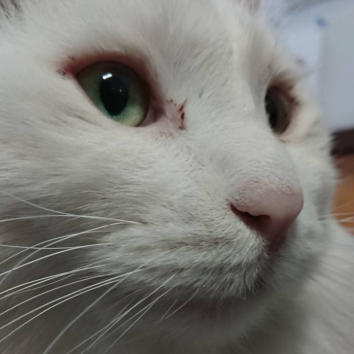 6ec13a83 2fa7 456f b4ee b6b9a23d6dbd 1548973442200