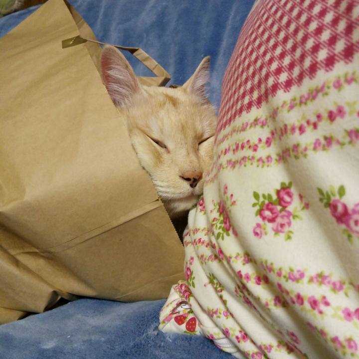 6ec13b52 45d6 4006 90cb 333643144f78 1523184155411