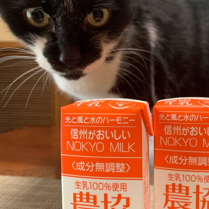 6ec14eb5 31e4 4a20 8add d04a311f4f2c 1588983068120