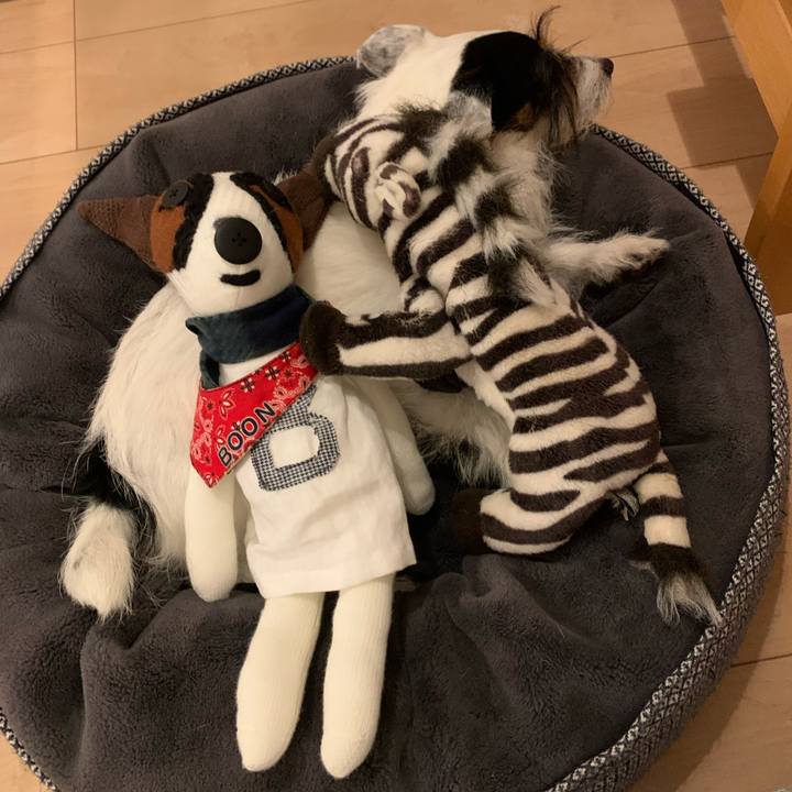 6ec15867 1d0a 422d af2d 44a541b34b4c 1662376236939