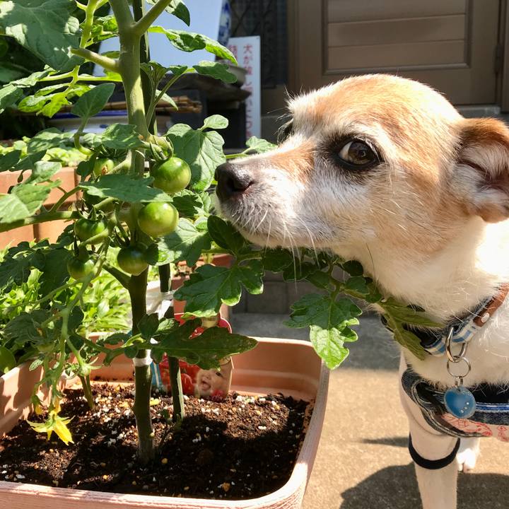 6ec17925 5df4 41f2 8618 ad8165e1fec5 1652953537256