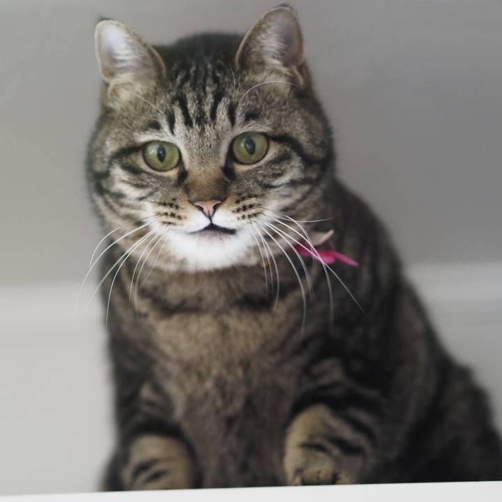 6ec1e7e5 864b 4fca 9454 4b801c97e32e 1621865214751