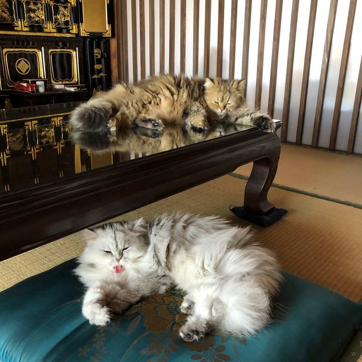 6ec1ebeb 7978 43e2 a8db 1c340a7be094 1557836794894