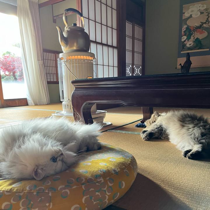 6ec219b8 056e 4c4c 80ec 31cb16b345a6 1638687312734