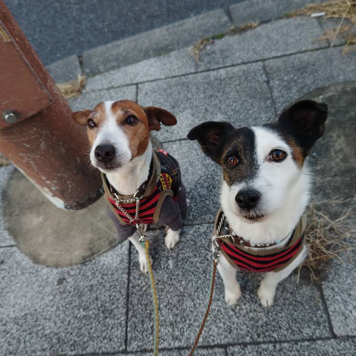 6ec24cf6 2f0d 4202 a483 be55acb89c06 1740087927470