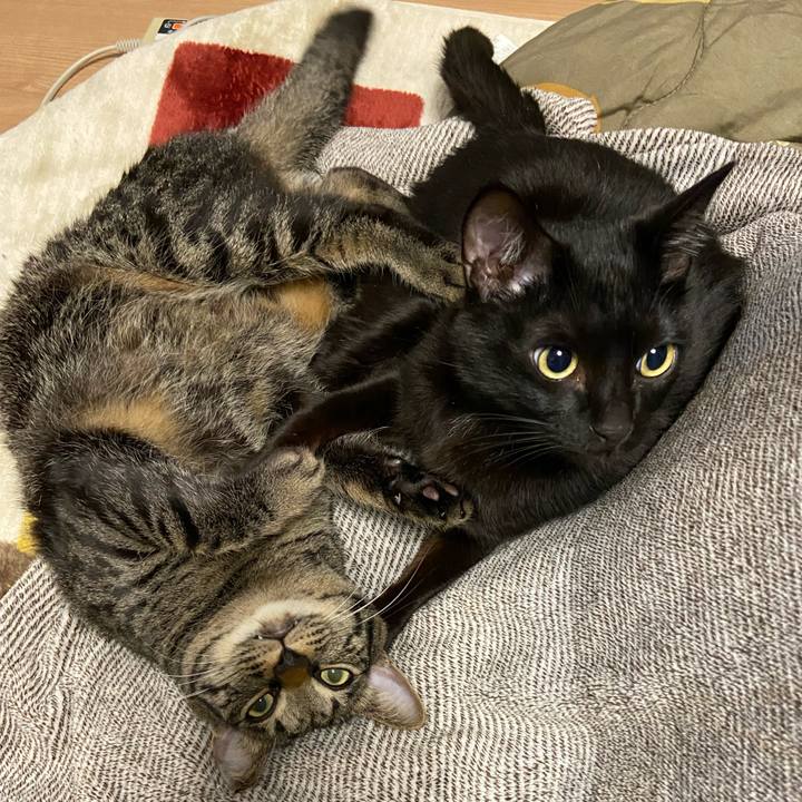 6ec2739b f61b 4e1d 93d6 28359322b44d 1644145702875