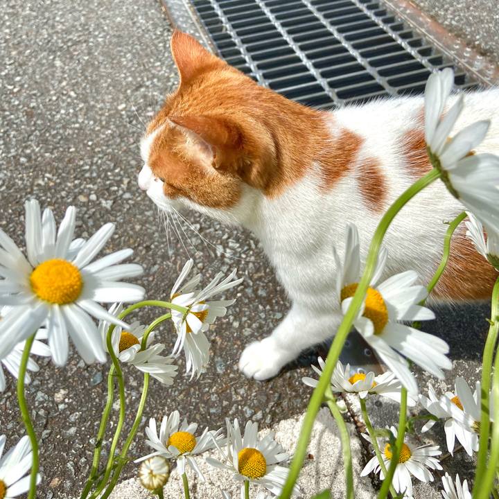 6ec2a396 6a60 46ef bc9c a0db2c763283 1622876562061