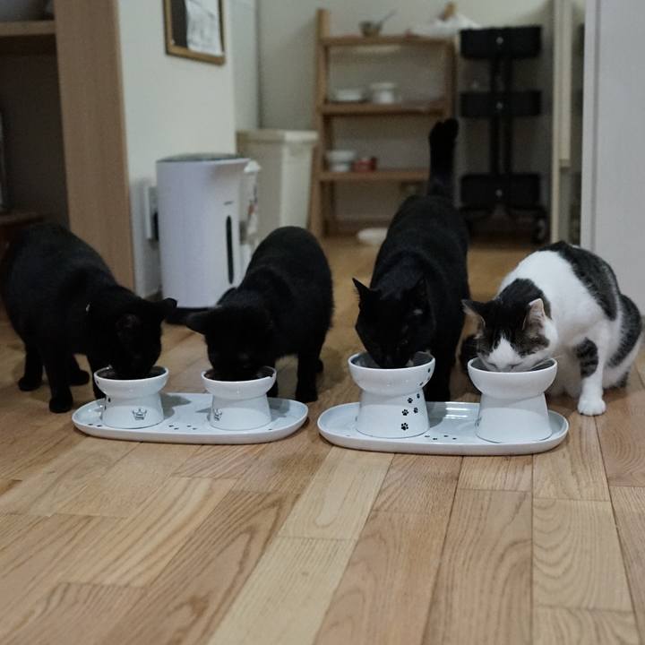 6ec2c93c 6d83 4445 99a8 322d66643d9d 1558350351072