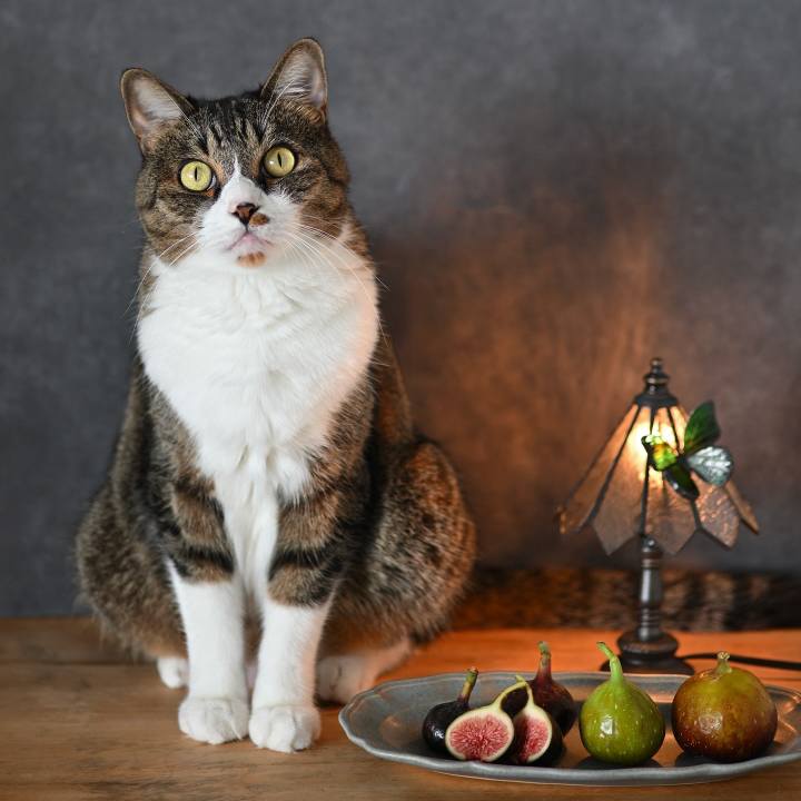 6ec2cc9c 3652 4eeb 8e4c 630d650c4f4e 1759712174244