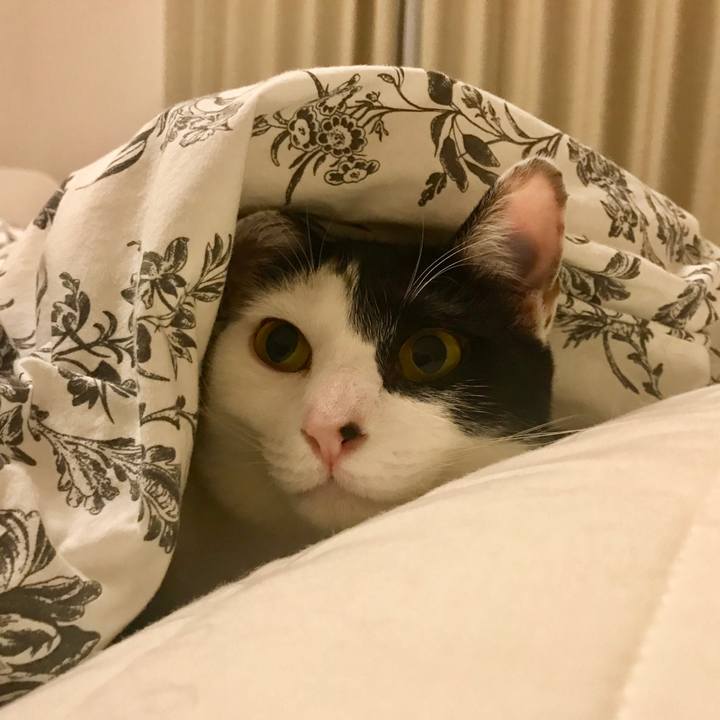 6ec2ef73 cc73 4dbb 82e4 2bfb9feaa733 1522064625517