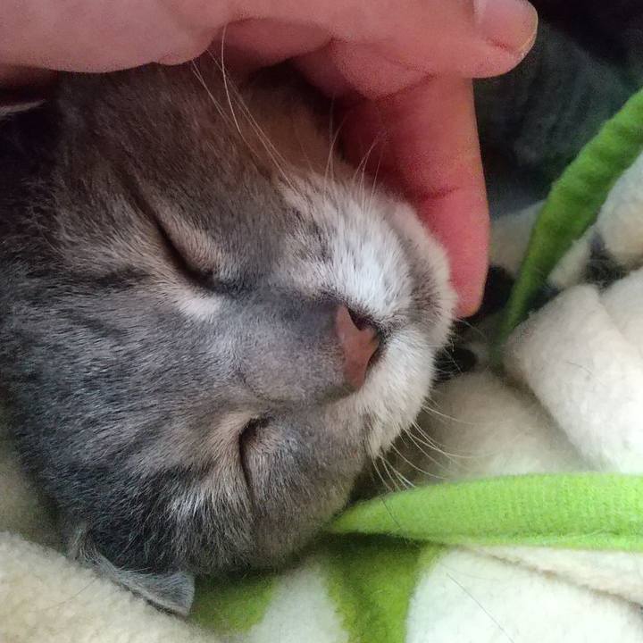 6ec2f22f 32c5 46f3 a862 a6006c3c25a6 1619769234250