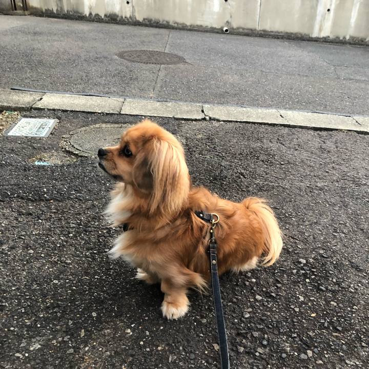 6ec347b1 65e6 44a6 b4b4 a7934d4a0e2c 1542231143919