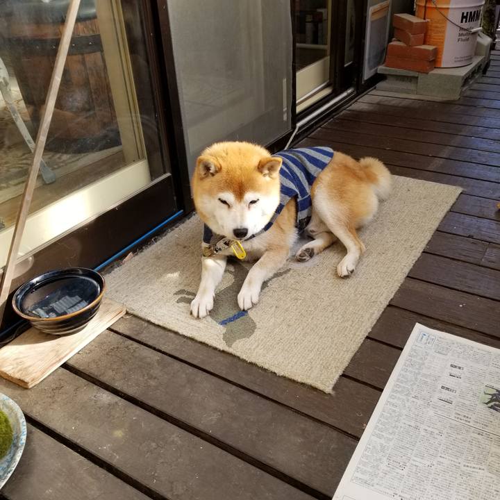 6ec349dd 70fc 41fc 96c1 9c4f29441981 1578708594808