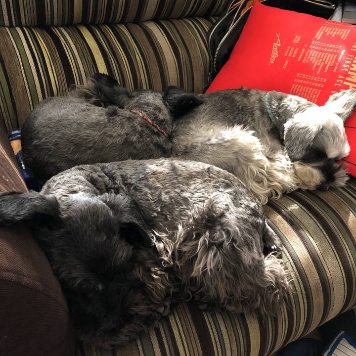 6ec35b9c aad1 47d4 80de 325a586b8e46 1580700246531