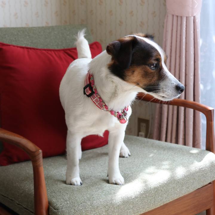 6ec3963a 8f17 40a3 8f61 217c1d95c914 1522812463338