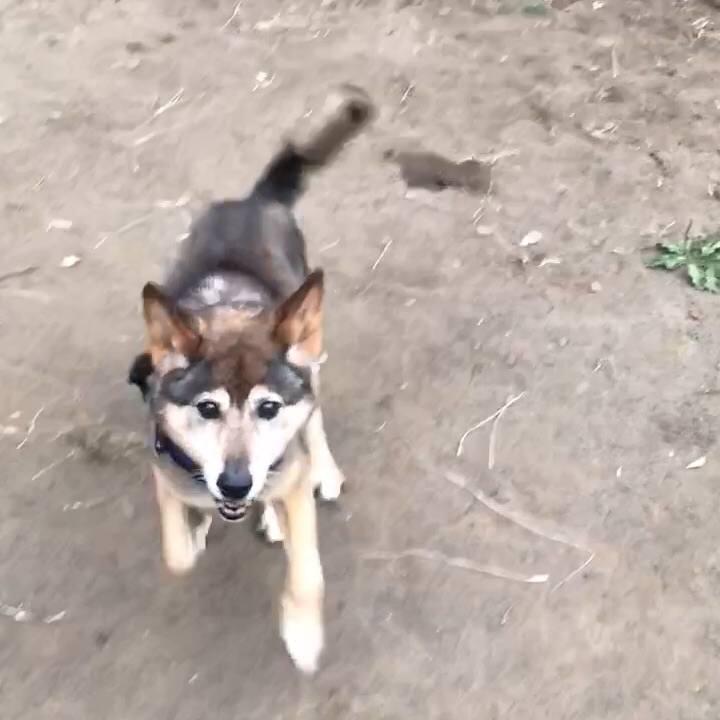 6ec39ca4 f660 420f 8983 f3e9ee46160f 1528610922179