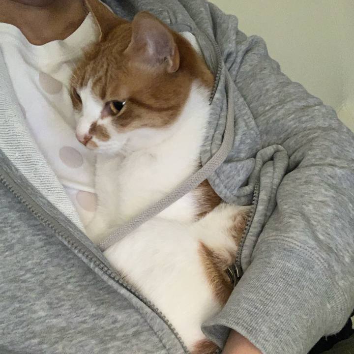 6ec43458 9c1b 4c59 9d8d 04a8dfd1c0c2 1588760473936