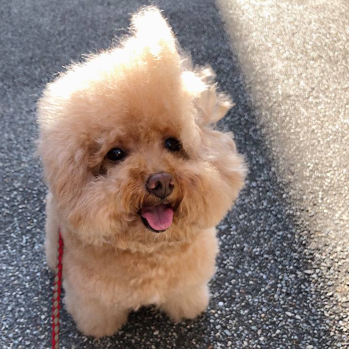 6ec49114 827c 454c 82c7 60fe6e8eca5a 1565062999369