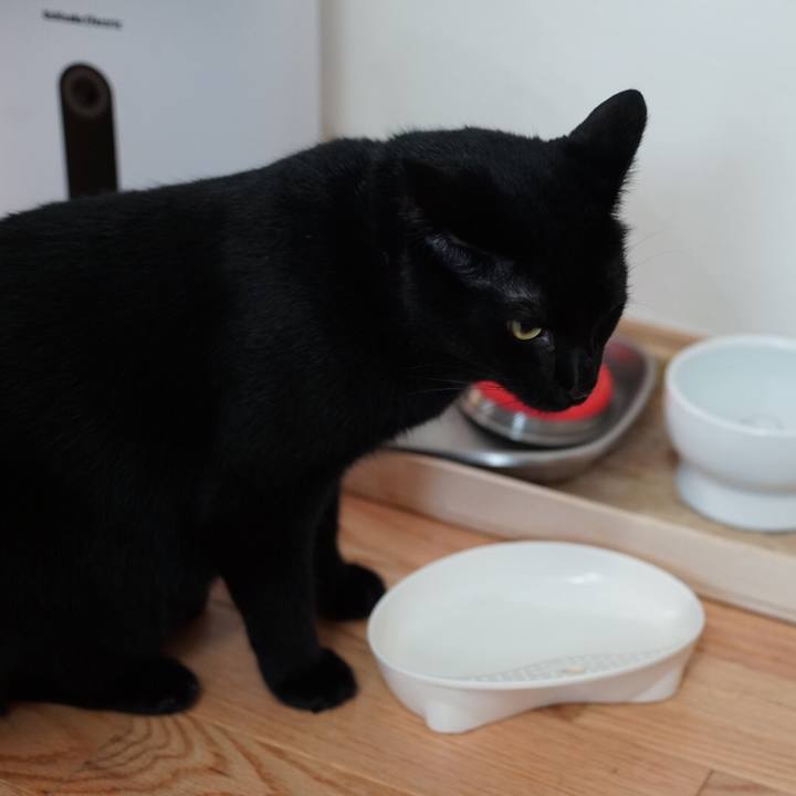 6ec49523 ffe8 49f1 bca9 8bdb9247a7c9 1532316407345