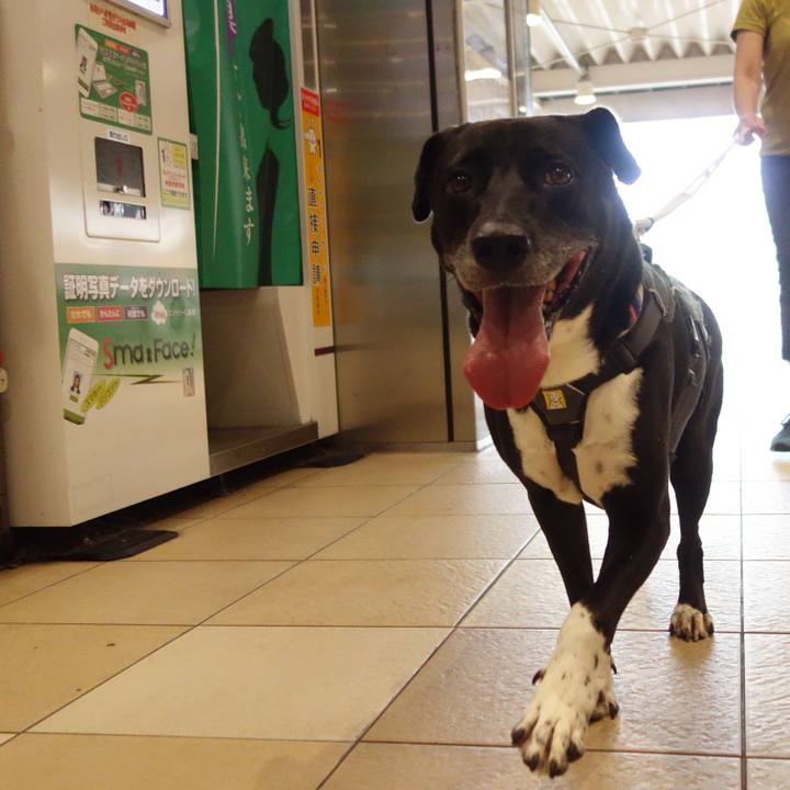 6ec49787 c2d0 4534 a0a8 3d82334aaa72 1660955435496