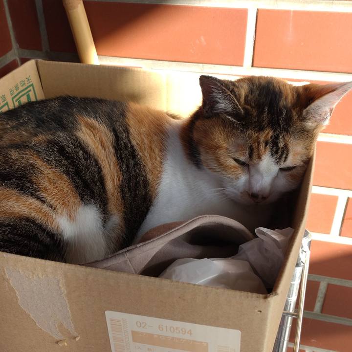 6ec49ae4 9904 4bb3 bf81 06ad8cf1c1d3 1695362285634