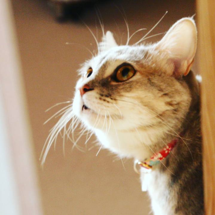 6ec4ebe3 c333 40f4 92df ed5dc18364e4 1518921226738