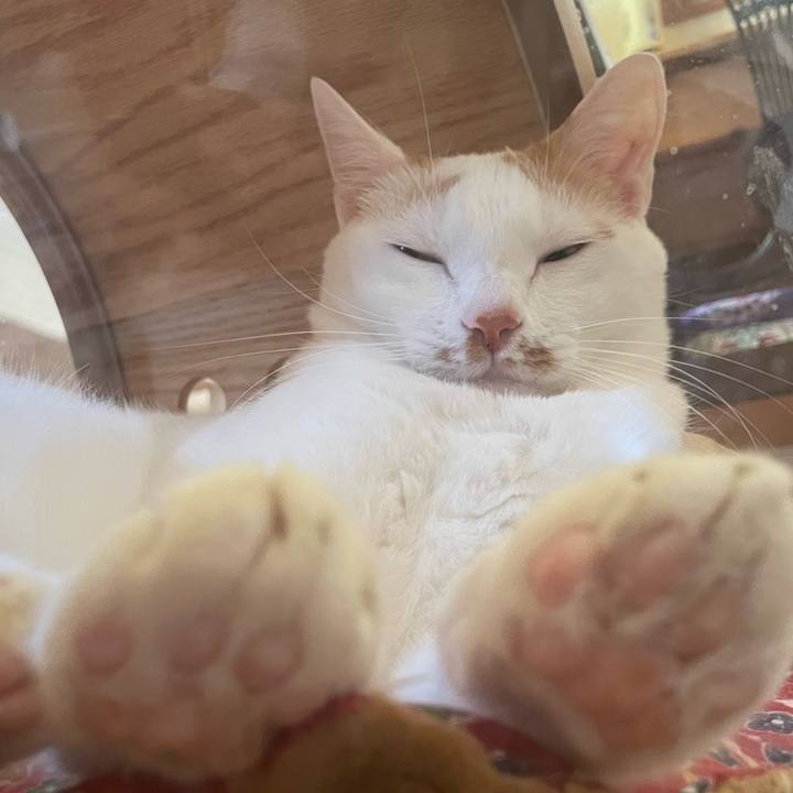 6ec5270c fa0e 4544 831d 4048909219cd 1669646729131