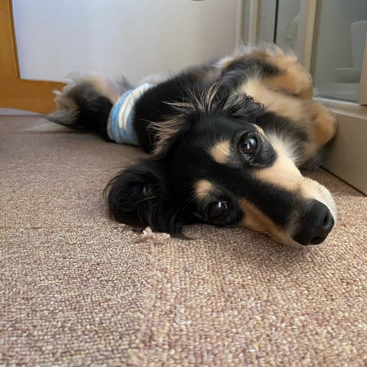 6ec5533d e625 401a 8118 029b5cc0a118 1729639736652