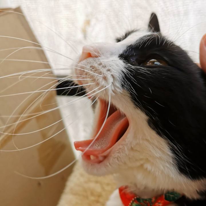 6ec5dba9 ceb6 4482 861c 4f925c2b09e6 1644984904412