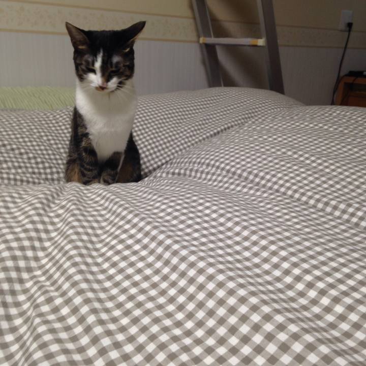 6ec5f3f0 b1df 4b20 bd2b 041588bdb321 1512716013205