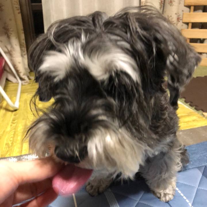 6ec5ff17 9c69 4412 8f02 d59a2811c23a 1664891677579