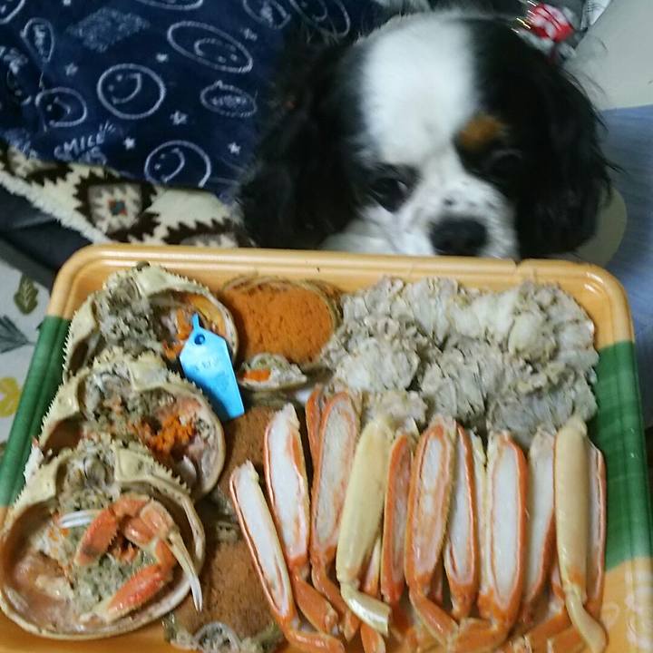 6ec610ee 39ca 4736 a3fd 382a3348e5c6 1546165392475