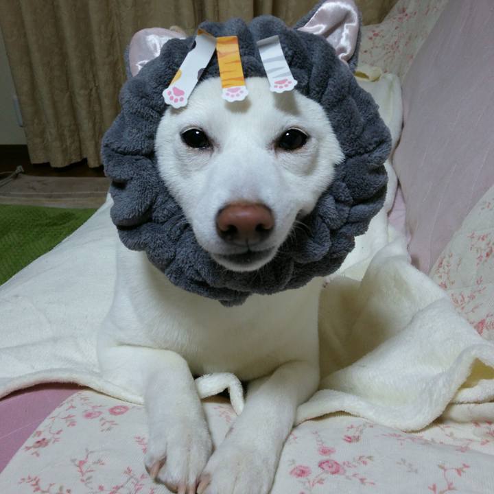 6ec652af cc89 41a1 8e0f 898cb8553df6 1550574069870