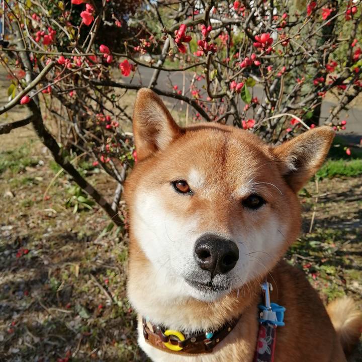 6ec65631 453e 4f94 a9cf 075d94de90eb 1582071593589