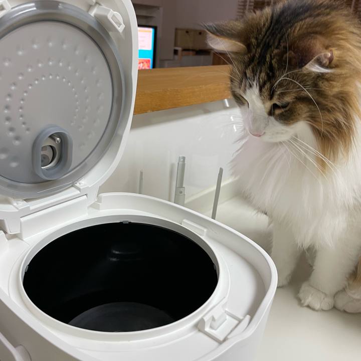 6ec6ad97 6cf4 46f9 b7aa 66cb3de1b041 1674589746138