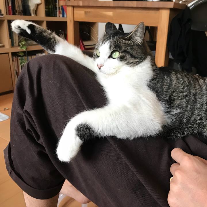 6ec6bdcd 37ab 419a 8e07 30f03136fb11 1511743175633