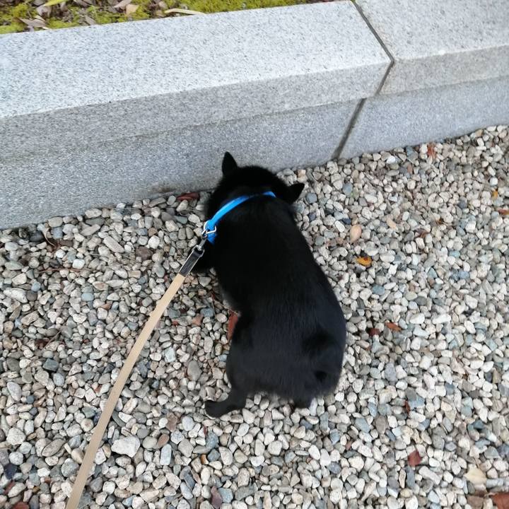 6ec6e750 1a3a 4f03 b973 ac118c5c5c64 1605133100858