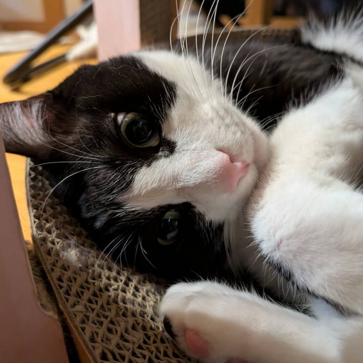 6ec73ad5 ee76 4b57 a05e f7d8c6caea72 1762518034558