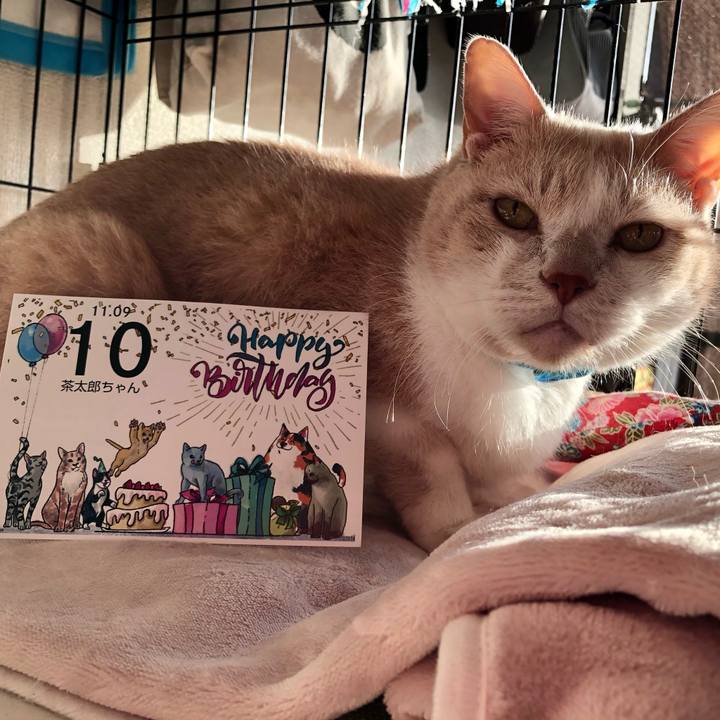 6ec76d40 7e81 404c bbe2 01b851d68538 1604874757337