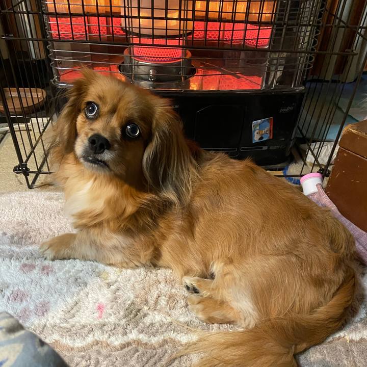 6ec77033 3586 48a4 a33a 7a6db1050b7f 1607981894600