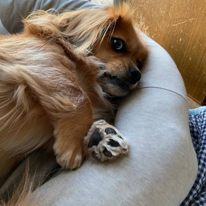 6ec77d6b a66f 4dc3 a0f2 7453c0e7c673 1602021786860