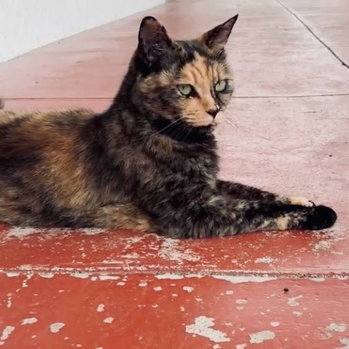 6ec79b1b dc93 4e49 a899 a686c95d4a07 1750643170313