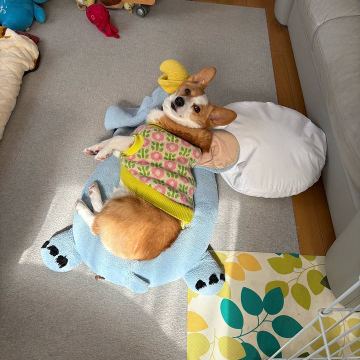 6ec7c8a1 1d0c 4e0d 84d4 cd61581b2712 1769578136868