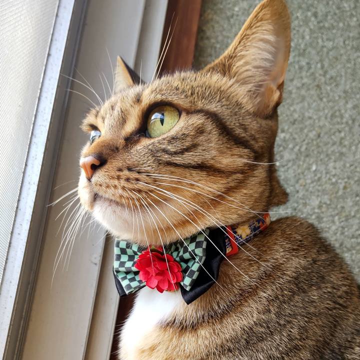 6ec7cb2a f655 4e76 9dc2 b71958bc4c60 1763218279566