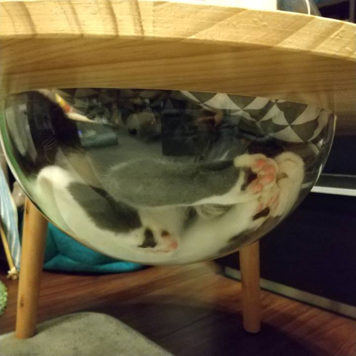 6ec8093c df35 4706 8ea8 a658e6a9e105 1599660450726